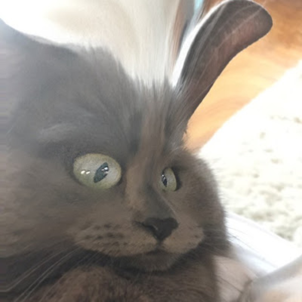 Meet your Posher, Cobra